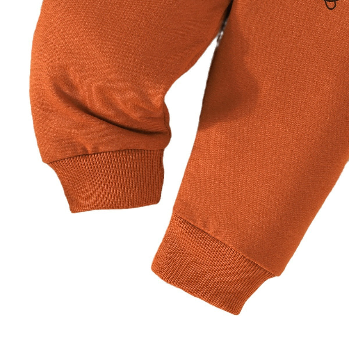 Baby Boy Solid Color Hoodie Trousers Suit